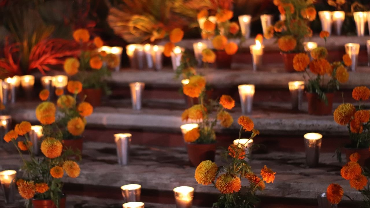 Dónde ver las mejores ofrendas de Día de Muertos en Ciudad de México